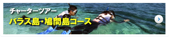 西表島シュノーケリングチャーターツアー　バラス島・鳩間島コース/奥西表コース