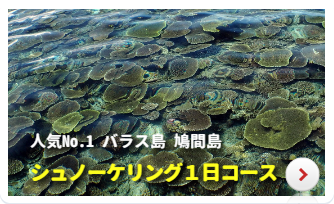 スノーケリング１日コース　人気Ｎｏ１バラス島・鳩間島