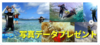 写真データプレゼント